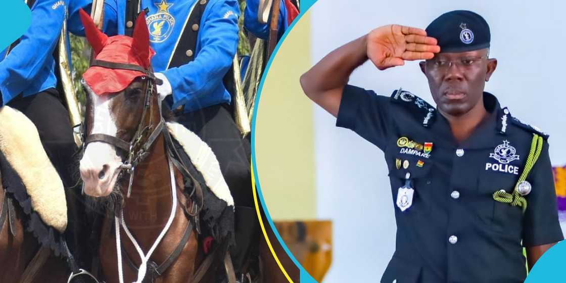Ghana Police Promotes Service Horse Ghana Police Promotes Service Horse