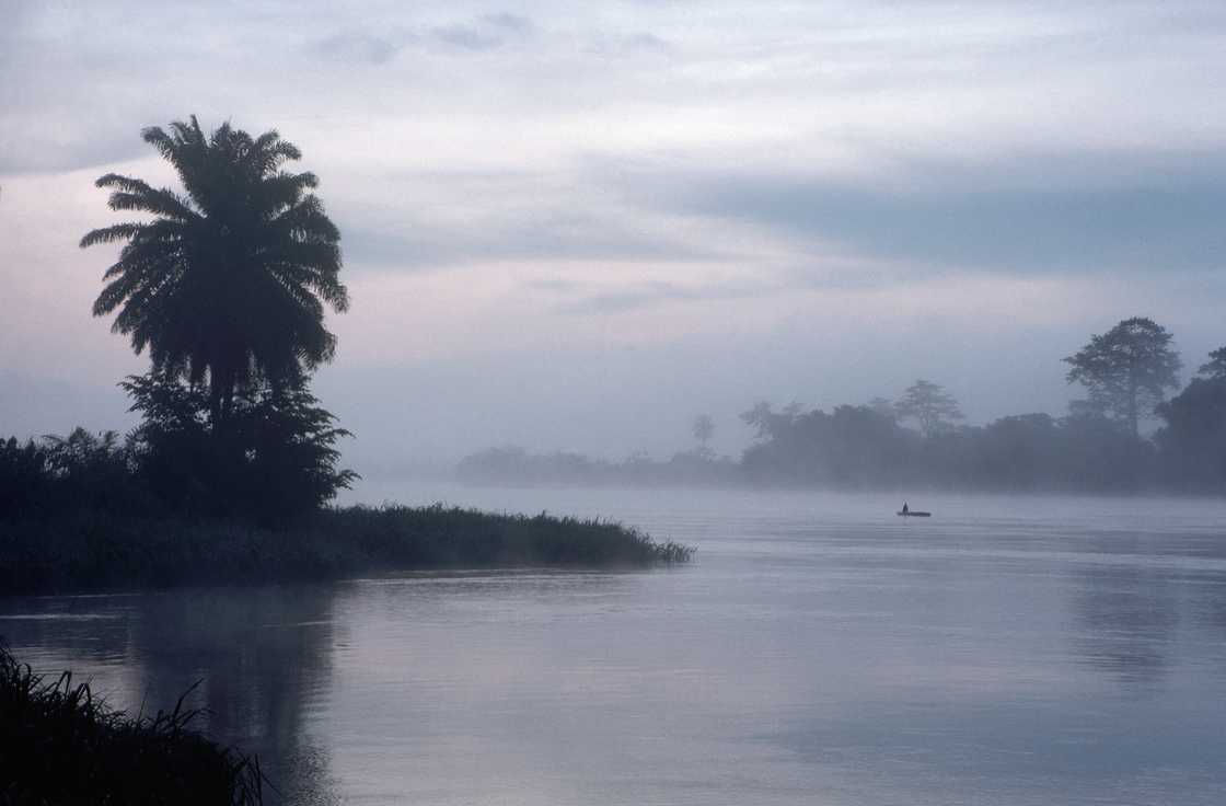 second longest river in the world