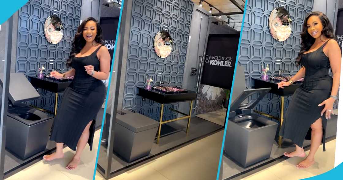 Serwaa Amihere and a GH¢360k smart toilet