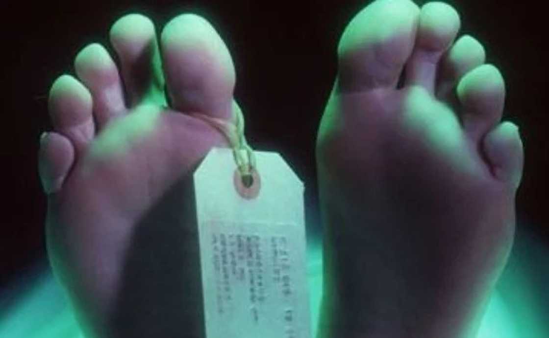 Woman Dies After Snake Bites Her Clitoris Woman Dies After Snake Bites Her Clitoris