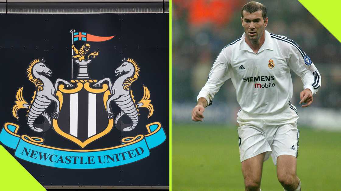 Newcastle United once had the chance to sign Zinedine Zidane but turned him down because they deemed him not 'fit for purpose'. Newcastle United once had the chance to sign Zinedine Zidane but turned him down because they deemed him not 'fit for purpose'.