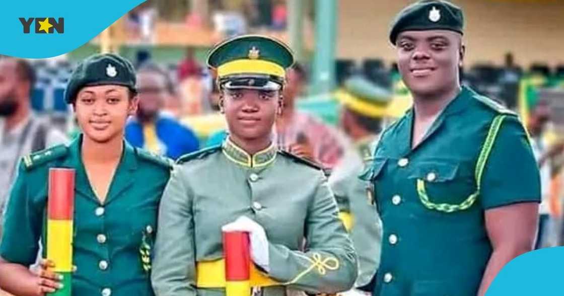 GIS officers, GIS, recrutiment portal, recruitment schemes, golearnershub,com, golernershub.com, fake recruitment GIS officers, GIS, recrutiment portal, recruitment schemes, golearnershub,com, golernershub.com, fake recruitment