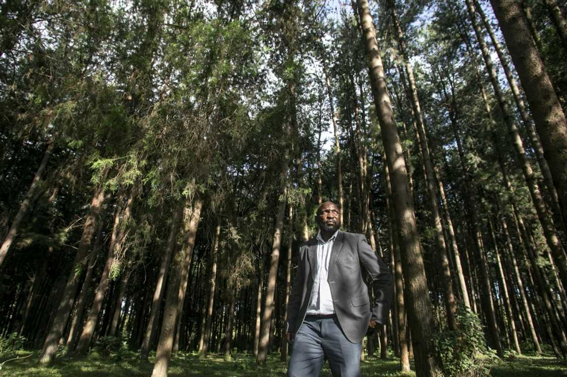 In Molo, a highland town northwest of Nairobi, sawmill owner Bernard Gitau said Ruto had 'come to the rescue' In Molo, a highland town northwest of Nairobi, sawmill owner Bernard Gitau said Ruto had 'come to the rescue'