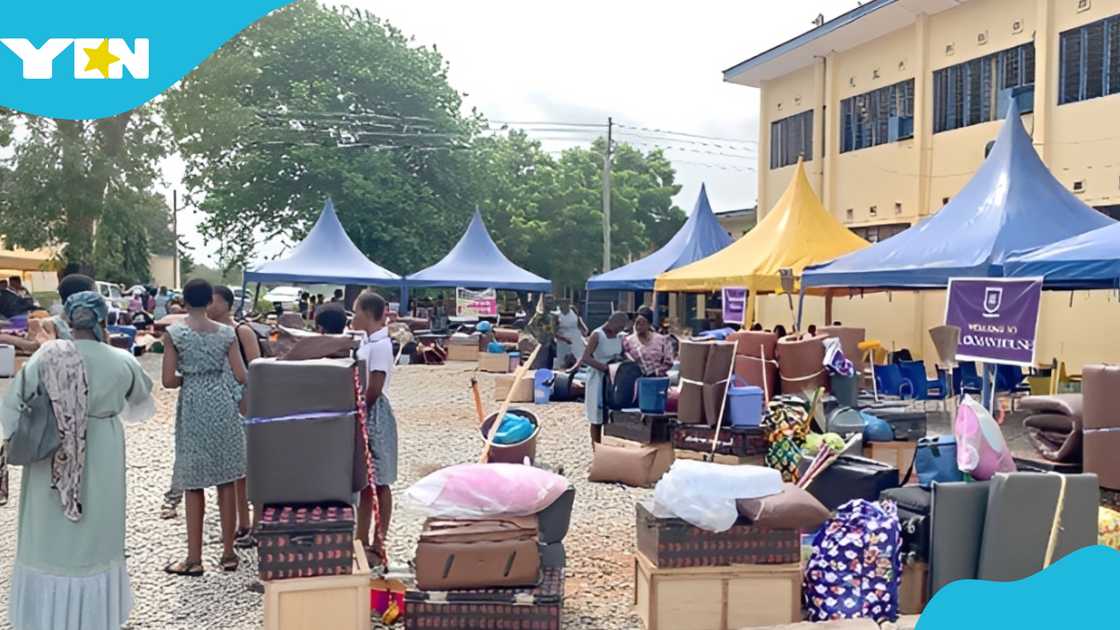 Ghana Education Service, BECE candidates, parents, School selection, Free SHS