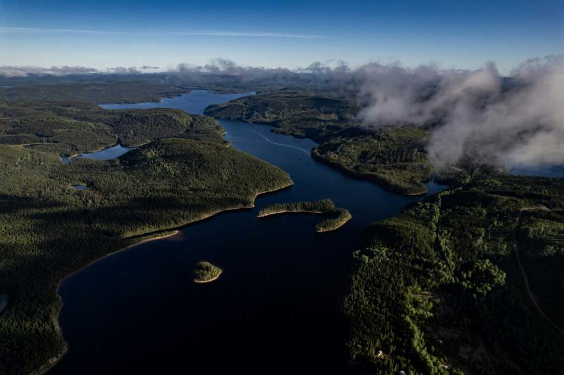 Scientists are pondering whether the boreal forest is approaching a so-called 'tipping point,' a threshold beyond which carbon and methane emissions are inevitable and changes to the ecosystem are irreversible