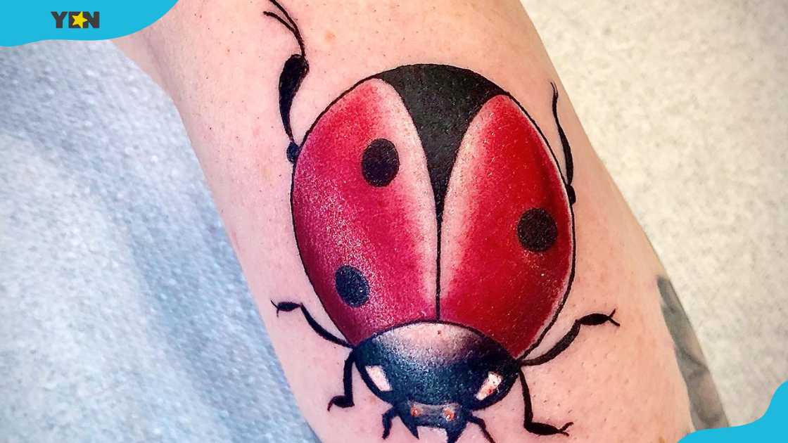 A vibrant cartoon-style ladybug tattoo