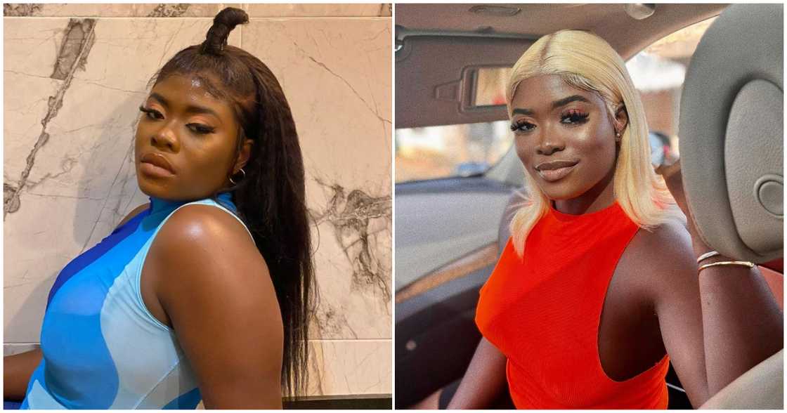 Fendy Fella Fendy Fella