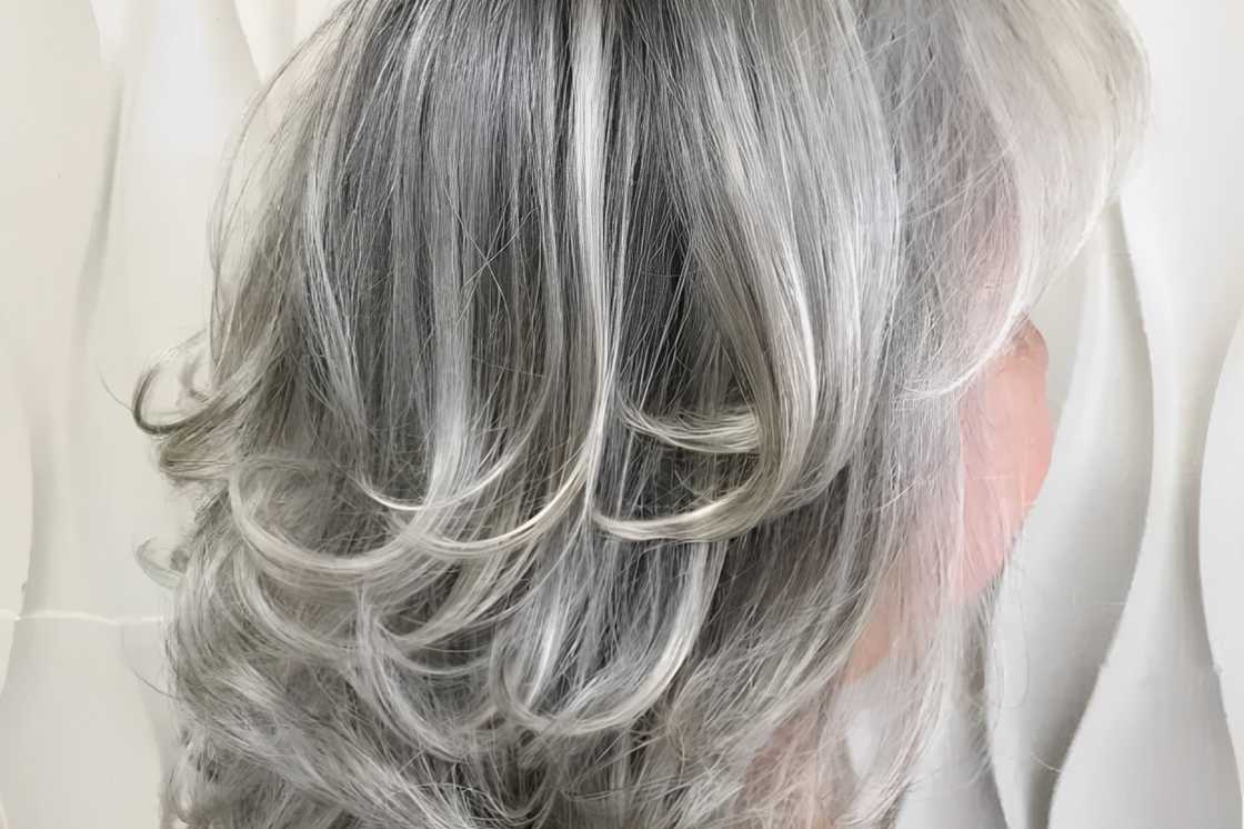 A rear view of a butterfly layers for silver locks A rear view of a butterfly layers for silver locks