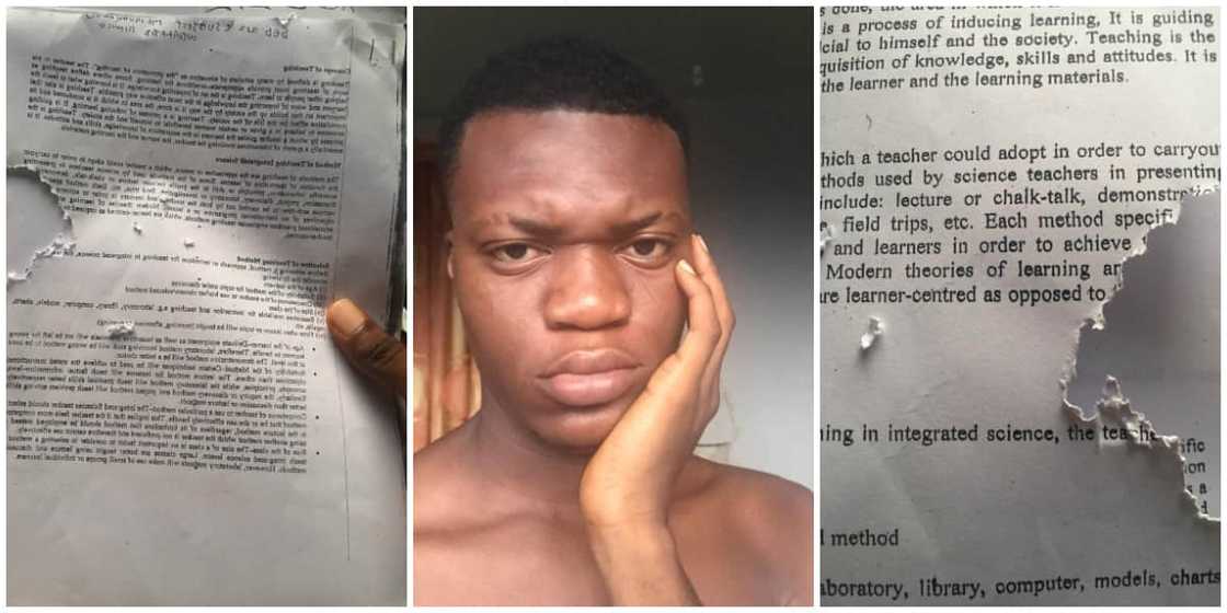 Your village people: Social media reacts as young man cries out after rats tampered with his exam material Your village people: Social media reacts as young man cries out after rats tampered with his exam material