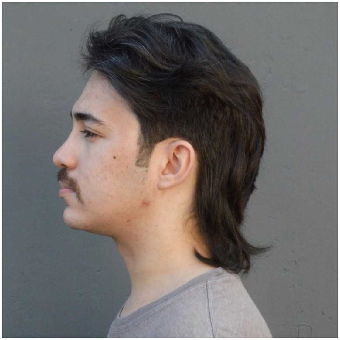 Mullet haircut