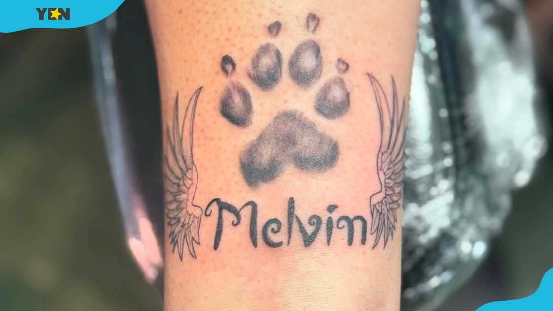 Angel wings with dog's name pet memorial tattoo Angel wings with dog's name pet memorial tattoo