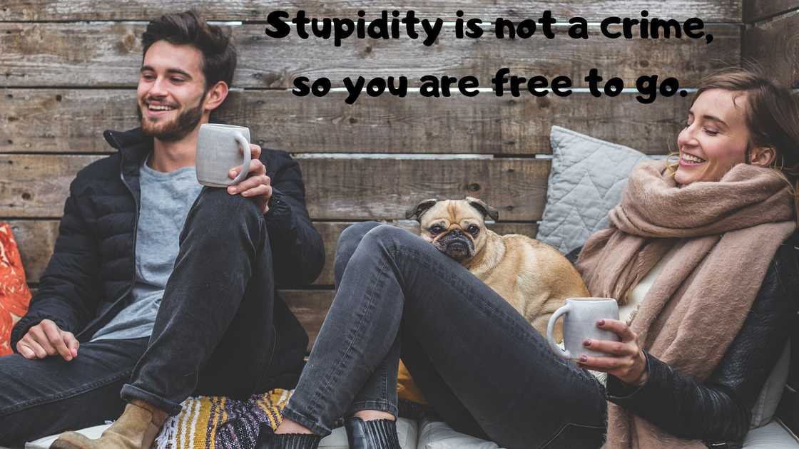 hilarious quotes hilarious quotes