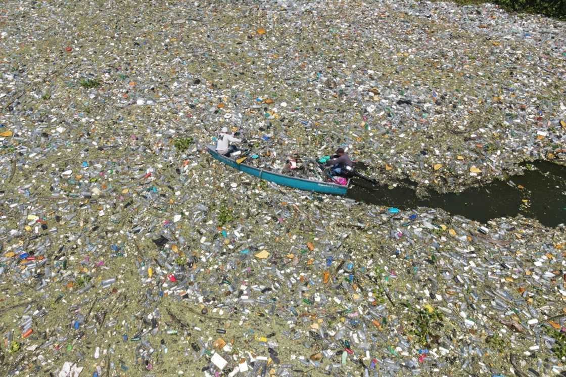 Microplastics have been found in soil, oceans, rivers, tap water and even in human blood, breast milk and placentas Microplastics have been found in soil, oceans, rivers, tap water and even in human blood, breast milk and placentas