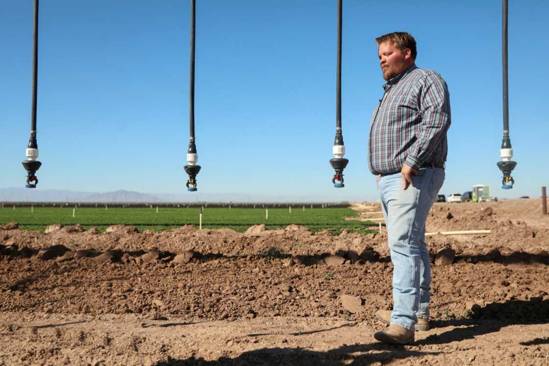 Fourth-generation farmer Andrew Leimgruber, standing near irrigation hoses, looks over a field of lettuce in Holtville, California Fourth-generation farmer Andrew Leimgruber, standing near irrigation hoses, looks over a field of lettuce in Holtville, California