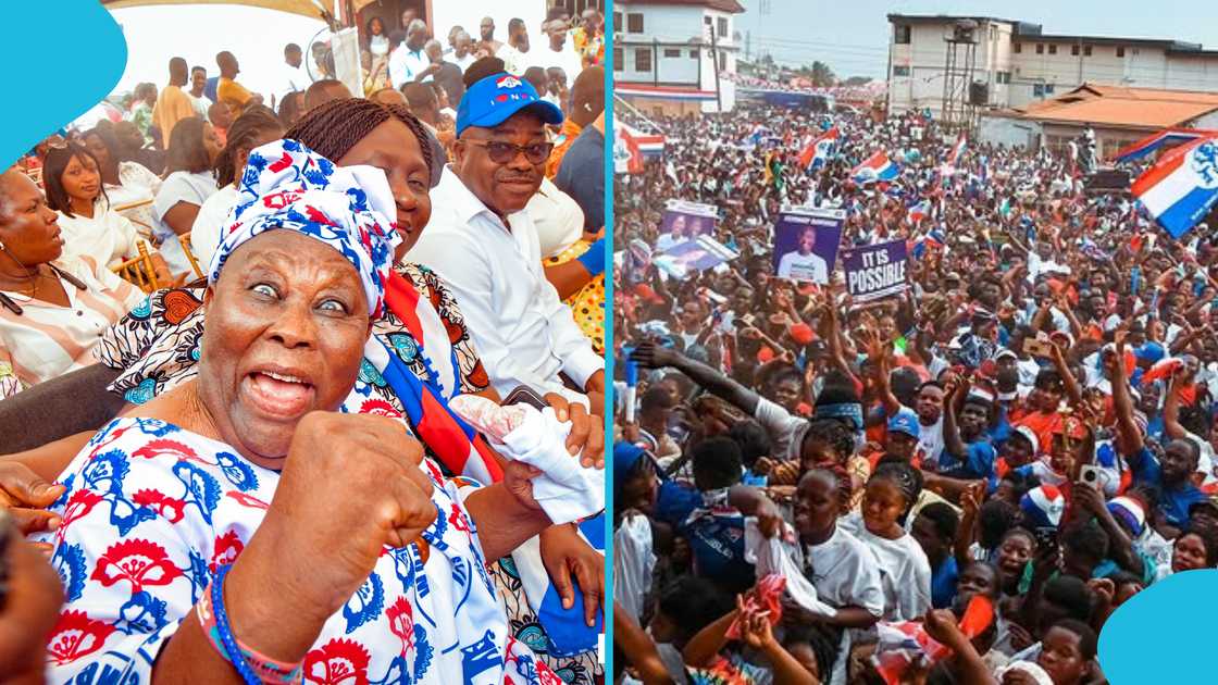 NPP, New Patriotic Party, Ghana politics, National Delegates Conference, Party conference NPP, New Patriotic Party, Ghana politics, National Delegates Conference, Party conference