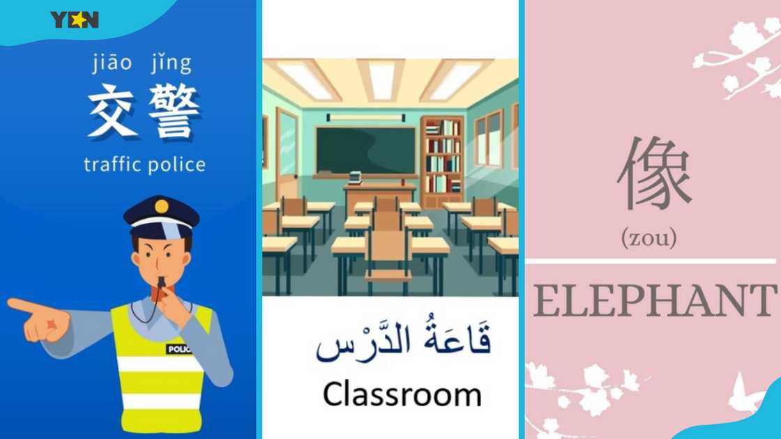 Mandarin Chinese, Arabic, and Japanese words and their English translations