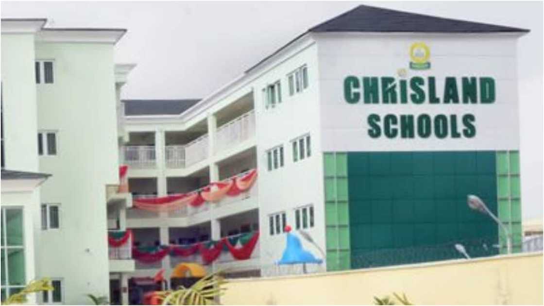 She has thousands of followers online. She has thousands of followers online.