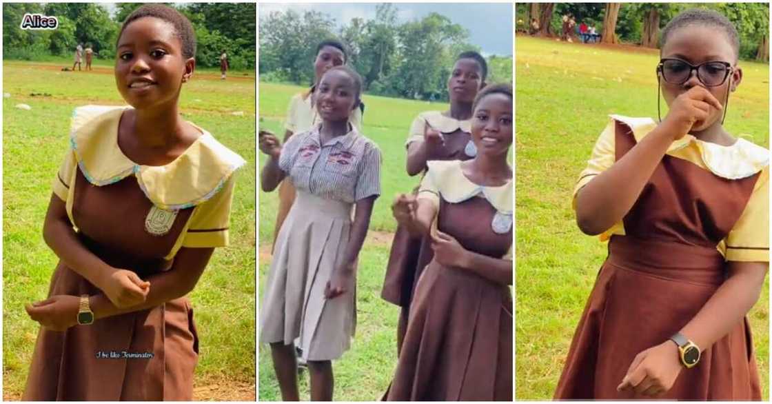 Students dancing to Terminator Students dancing to Terminator