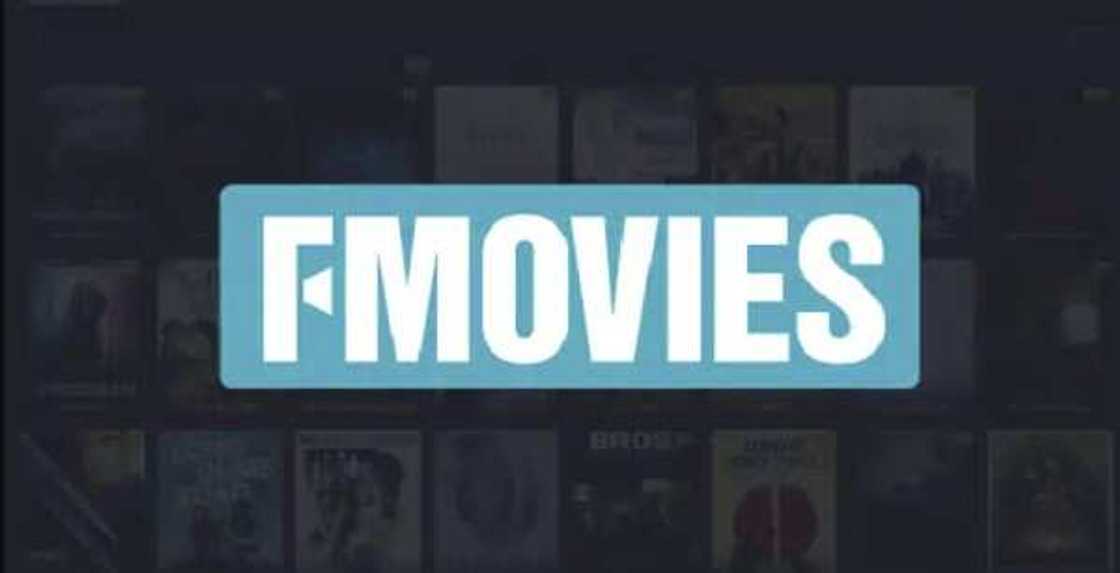 TFPDL movies and series: how to download and alternatives