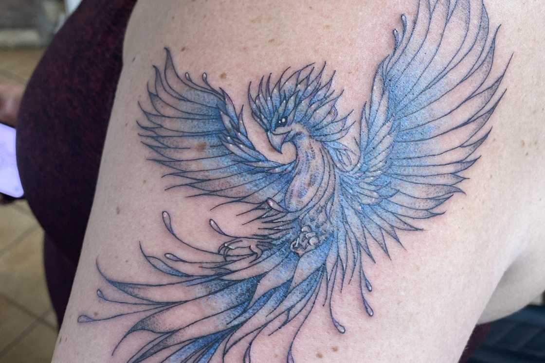 20 stunning feminine rebirth phoenix tattoo ideas and designs to go for