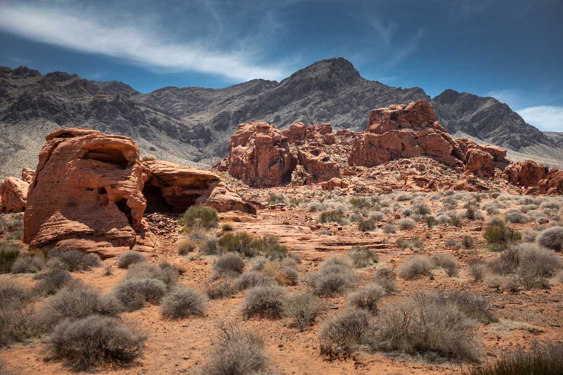 driest state in the US