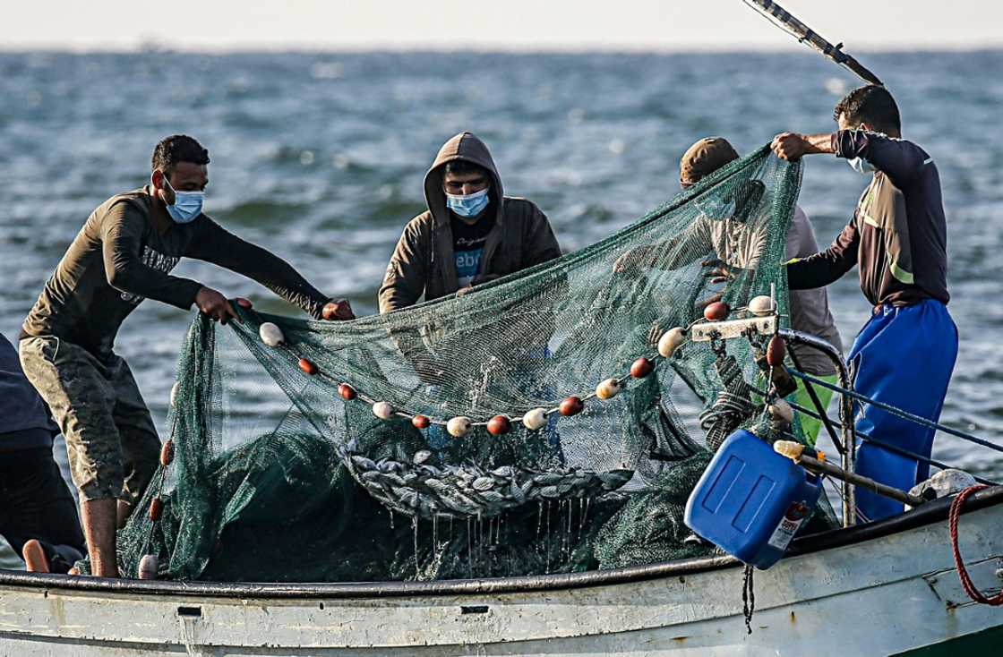 Palestinian fishermen in 2020 with fish caught in the Mediterranean Sea off Rafah in the southern Gaza Strip Palestinian fishermen in 2020 with fish caught in the Mediterranean Sea off Rafah in the southern Gaza Strip