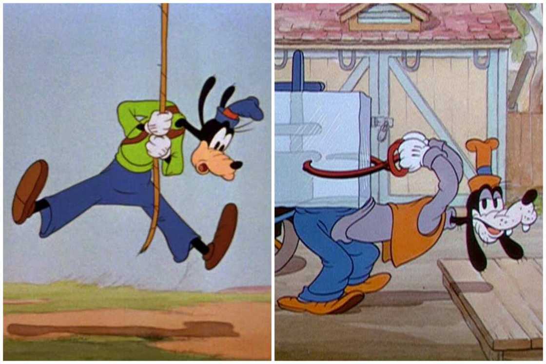 Is Goofy a cow or a dog?