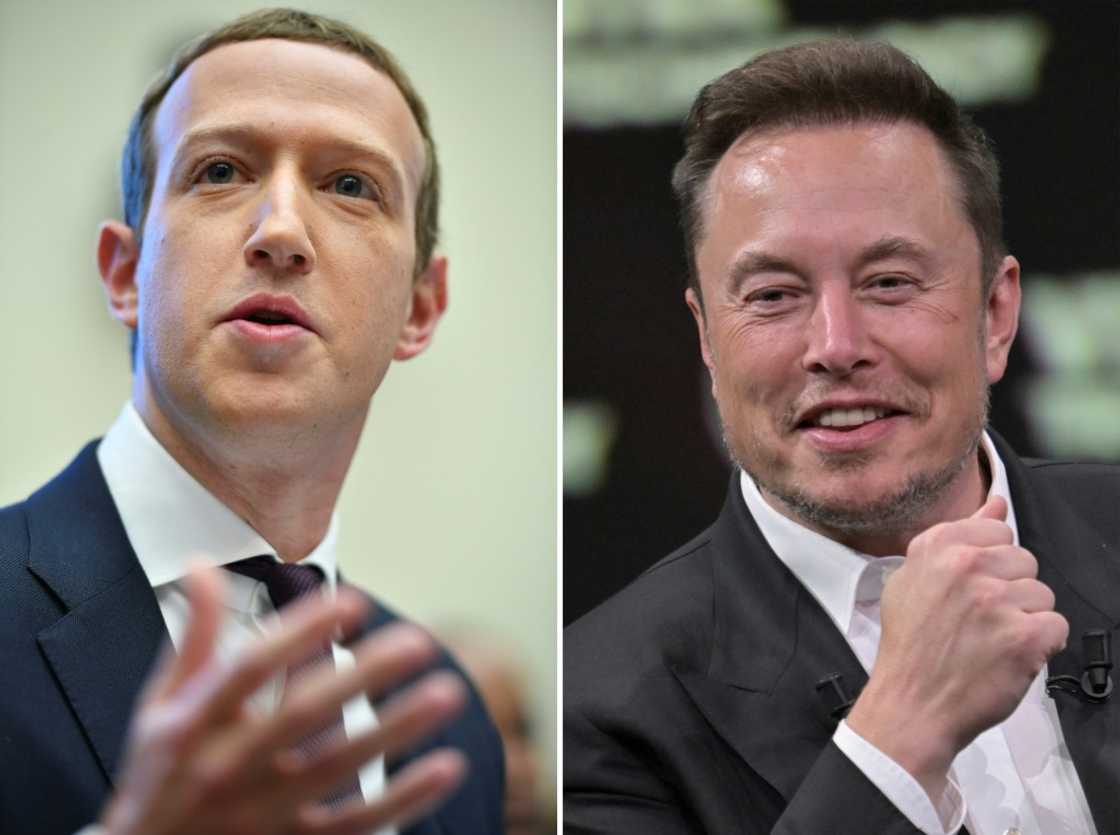 Facebook founder Mark Zuckerberg (L) and Twitter owner Elon Musk recently challenged each other to a cage fight