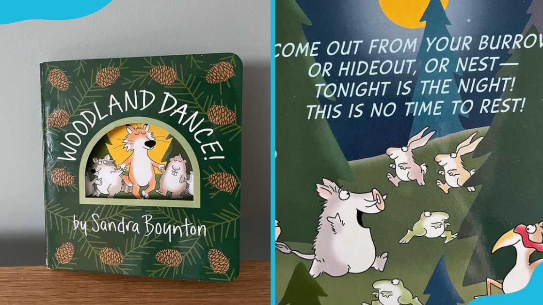 Sandra Boynton's Woodland Dance! Sandra Boynton's Woodland Dance!