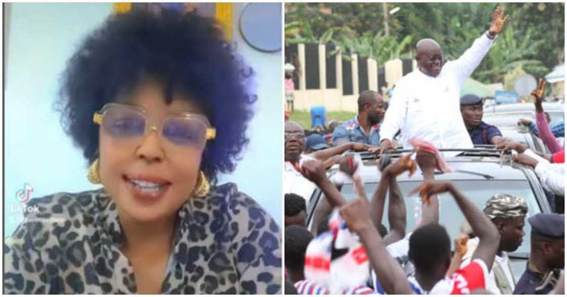 Afia Schwar condemns fellow celebs for campaigning for President Akufo-Addo Afia Schwar condemns fellow celebs for campaigning for President Akufo-Addo
