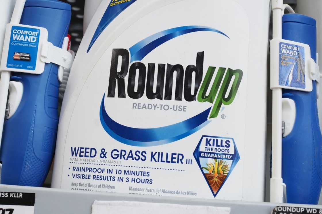 Bayer has been dogged by lawsuits linked to the weedkiller Roundup Bayer has been dogged by lawsuits linked to the weedkiller Roundup