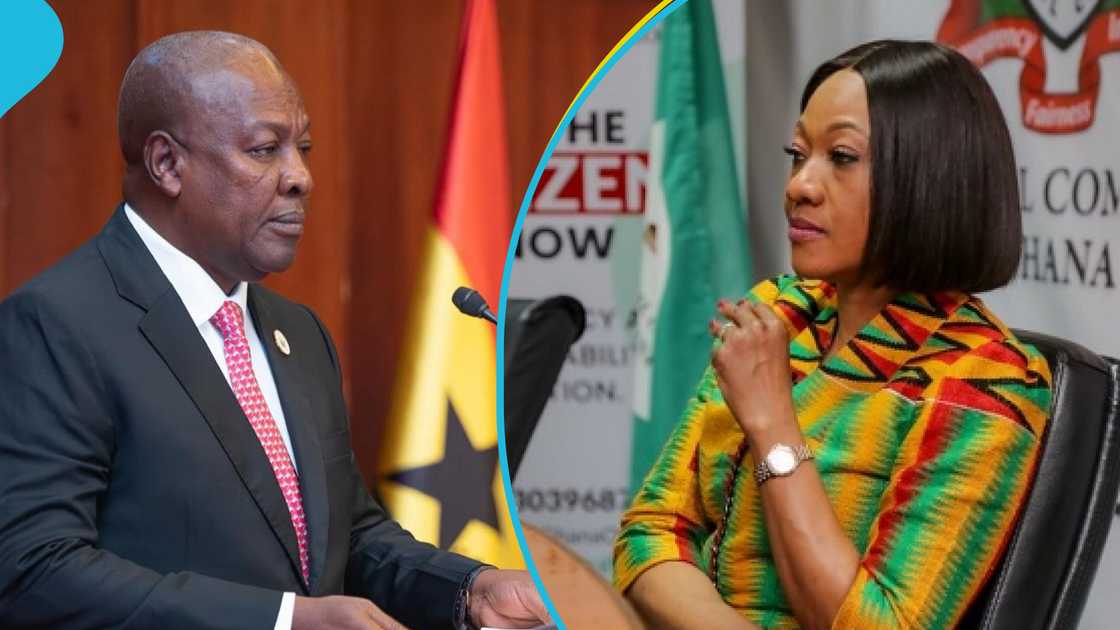 Jean Mensa, John Mahama, Electoral Commission, Petition, Jean Mensa removal, Joseph Blankson Adumadzie Jean Mensa, John Mahama, Electoral Commission, Petition, Jean Mensa removal, Joseph Blankson Adumadzie