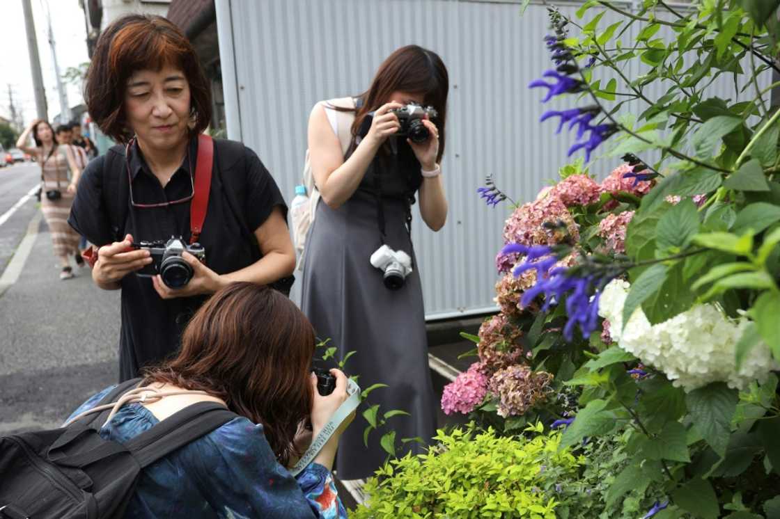 Participants of a film photography tour take photos in Kamakura, Kanagawa prefecture Participants of a film photography tour take photos in Kamakura, Kanagawa prefecture