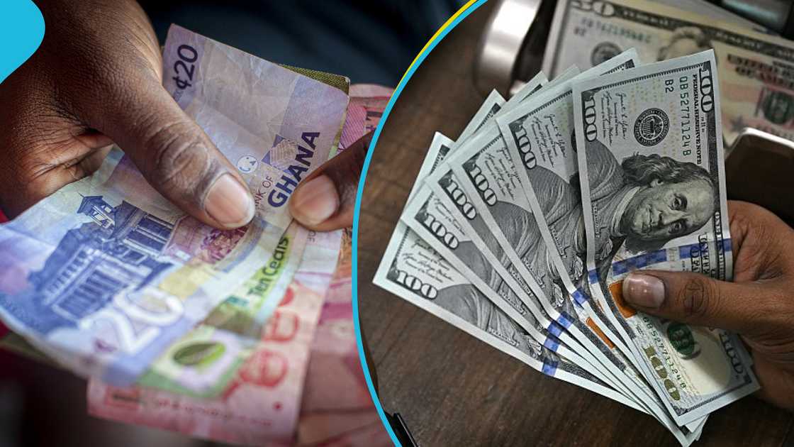 Cedi, dollar, forex, Bank of Ghana Cedi, dollar, forex, Bank of Ghana