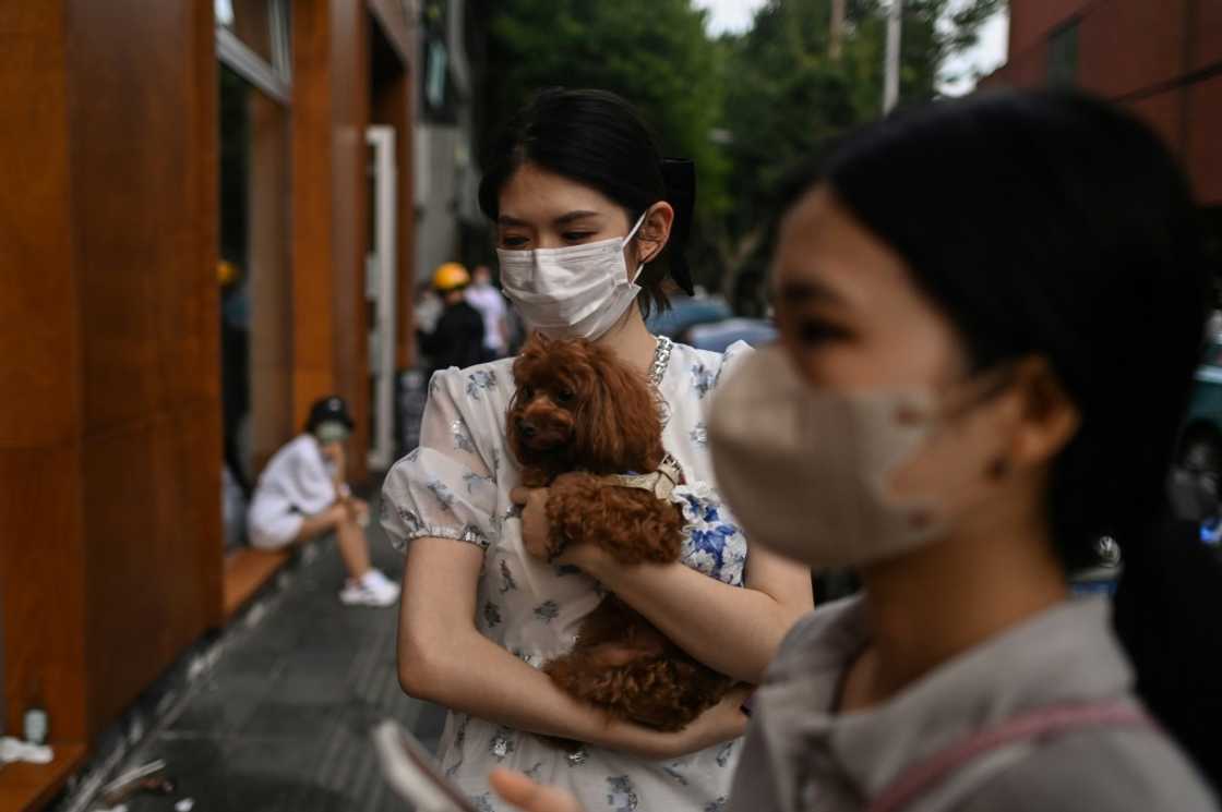 China reported zero new Covid-19 infections in Shanghai for the first time since March on Saturday, after months of virus-spurred lockdowns and restrictions China reported zero new Covid-19 infections in Shanghai for the first time since March on Saturday, after months of virus-spurred lockdowns and restrictions