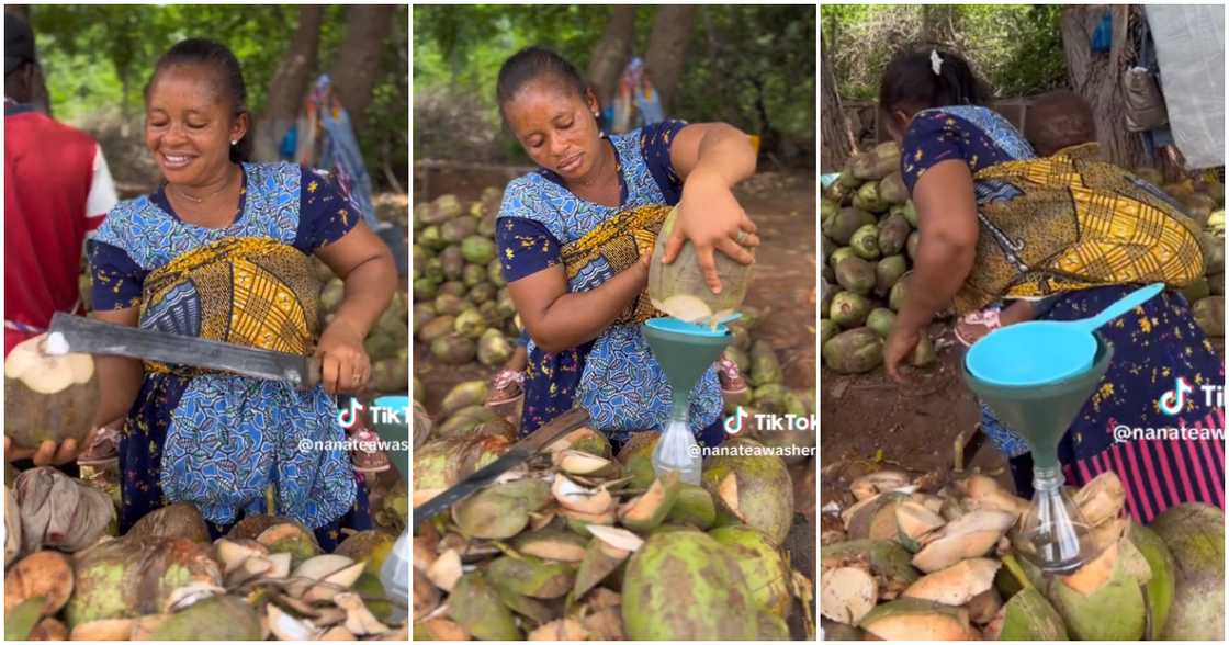 Photos of female coconut seller. Photos of female coconut seller.