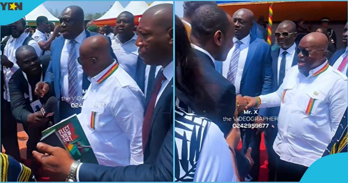 Akufo-addo, Jubilee House, Independence Anniversary Commemoration Parade, Ghana@68, Mahama, Ghana President Akufo-addo, Jubilee House, Independence Anniversary Commemoration Parade, Ghana@68, Mahama, Ghana President