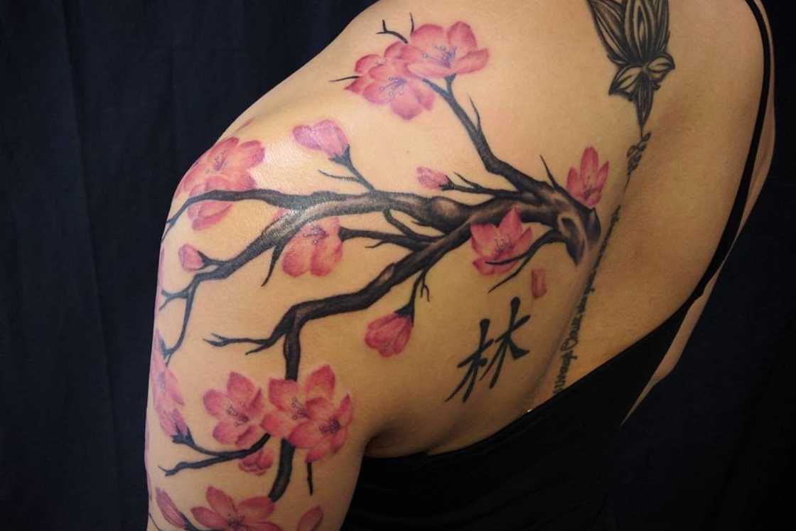 A lady is donning a cherry blossom tree tattoo on her upper back