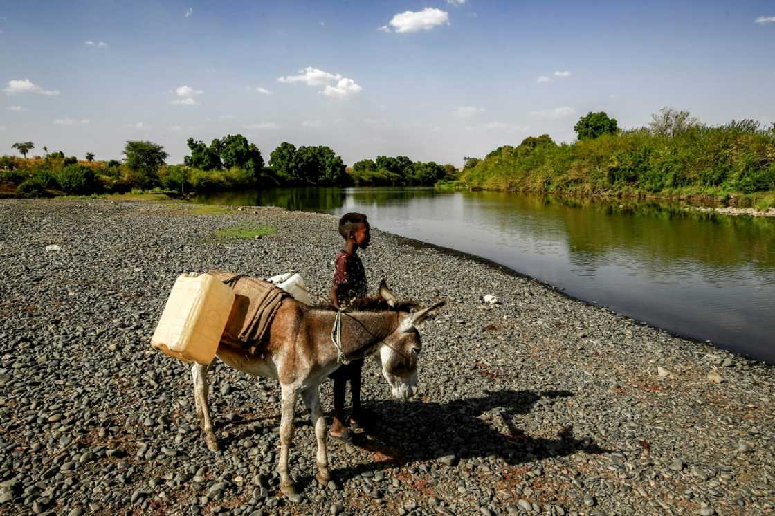 Sudan and Ethiopia have long been at odds over the fertile farmland region of Al-Fashaqa