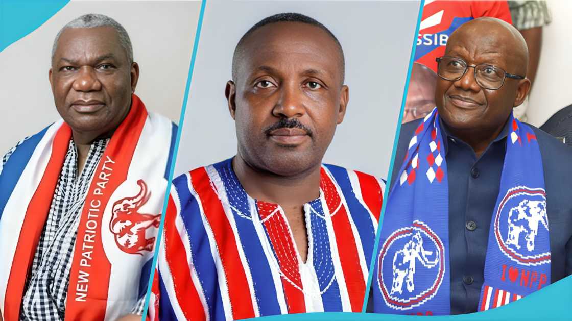 NPP elections 2026, John Boadu, NPP National Chairman race, survey, Professor Smart Sarpong, Justin Kodua Frimpong, NPP national executives, Ghana politics, Nana B, NPP delegate survey NPP elections 2026, John Boadu, NPP National Chairman race, survey, Professor Smart Sarpong, Justin Kodua Frimpong, NPP national executives, Ghana politics, Nana B, NPP delegate survey