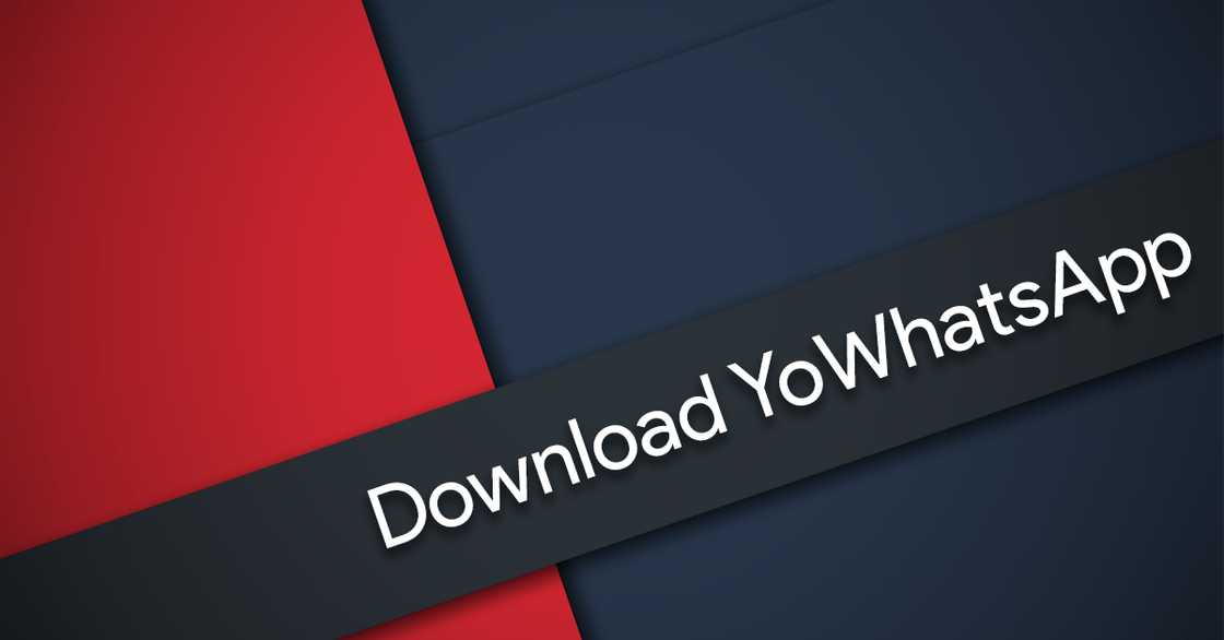 YoWhatsApp APK download