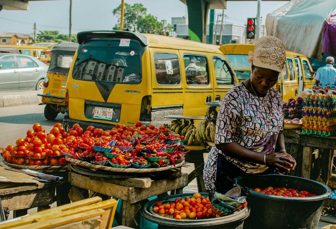A street vendor sorting tomatoes at a busy roadside market. A street vendor sorting tomatoes at a busy roadside market.