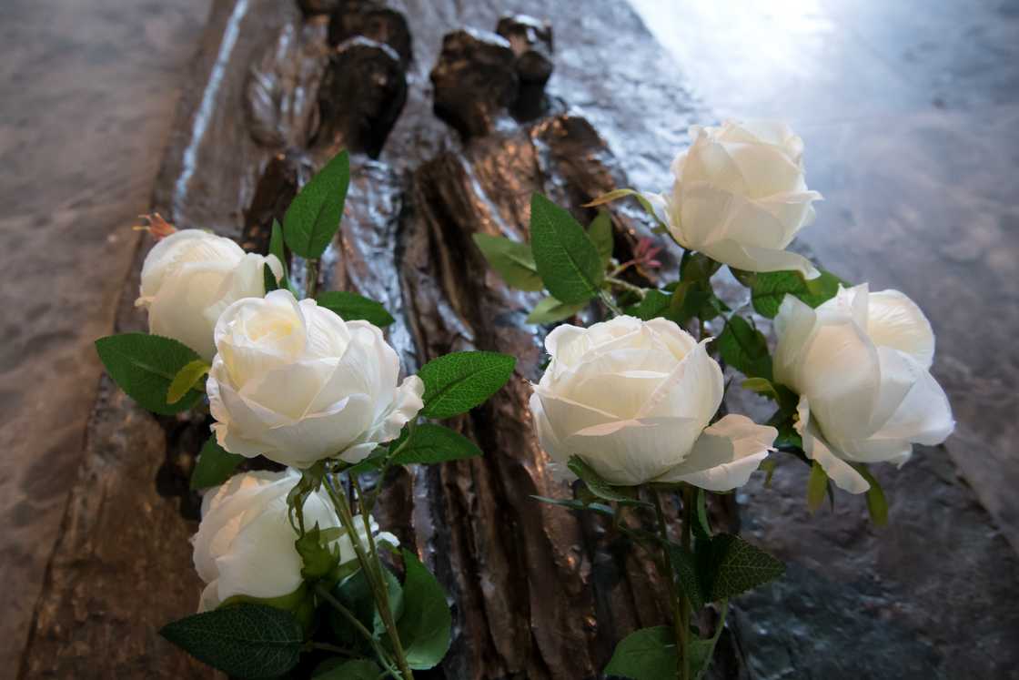 white roses meaning