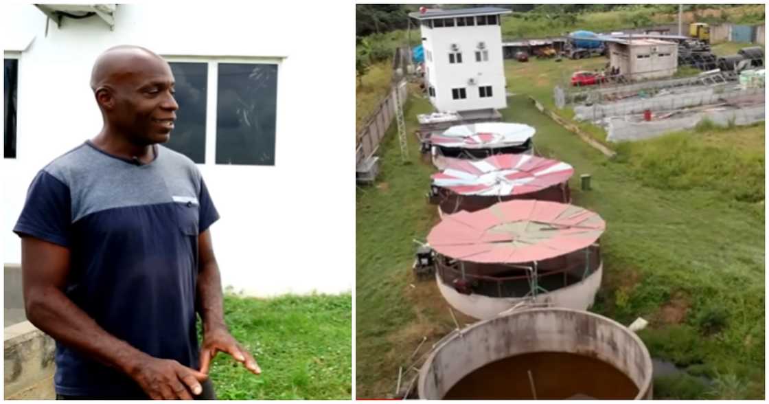 3 People Who Left Abroad To Start Successful Businesses In Ghana 3 People Who Left Abroad To Start Successful Businesses In Ghana