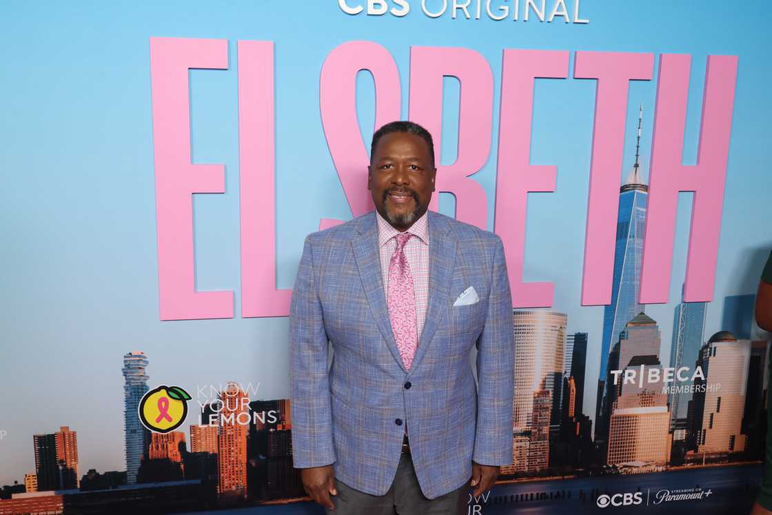 Wendell Pierce attends CBS' "Elsbeth" Season 3 Premiere Wendell Pierce attends CBS' "Elsbeth" Season 3 Premiere