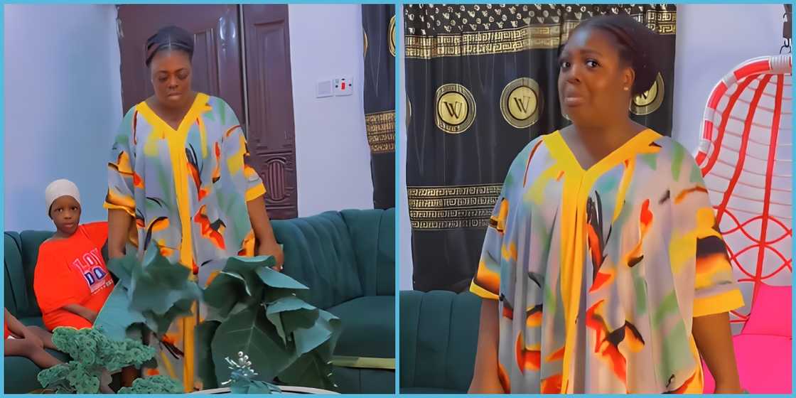 Ghana Naija, Ghanaian wife, pregnant woman, cravings, Nigerian husband, Kontomire leaves, Kontomire stew, Cocoyam leaves, Nigeria. Ghana Naija, Ghanaian wife, pregnant woman, cravings, Nigerian husband, Kontomire leaves, Kontomire stew, Cocoyam leaves, Nigeria.