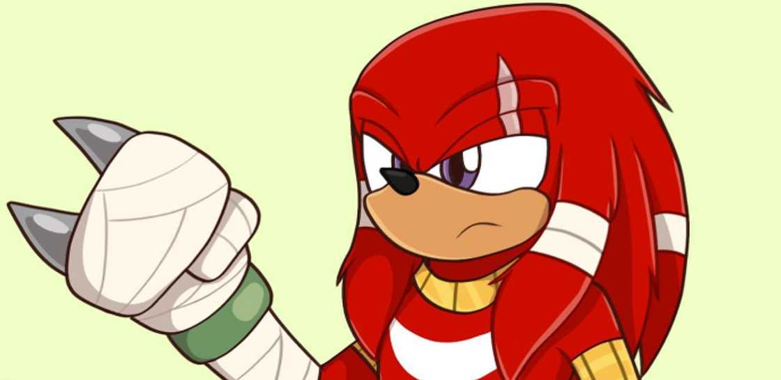 Knuckles the Echidna