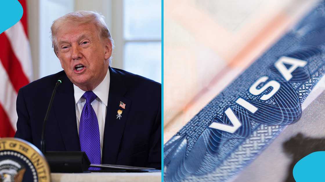 US Visa, Trump Suspends, Green Card Visa Scheme, Brown Shooting Incident. Immigration US Visa, Trump Suspends, Green Card Visa Scheme, Brown Shooting Incident. Immigration
