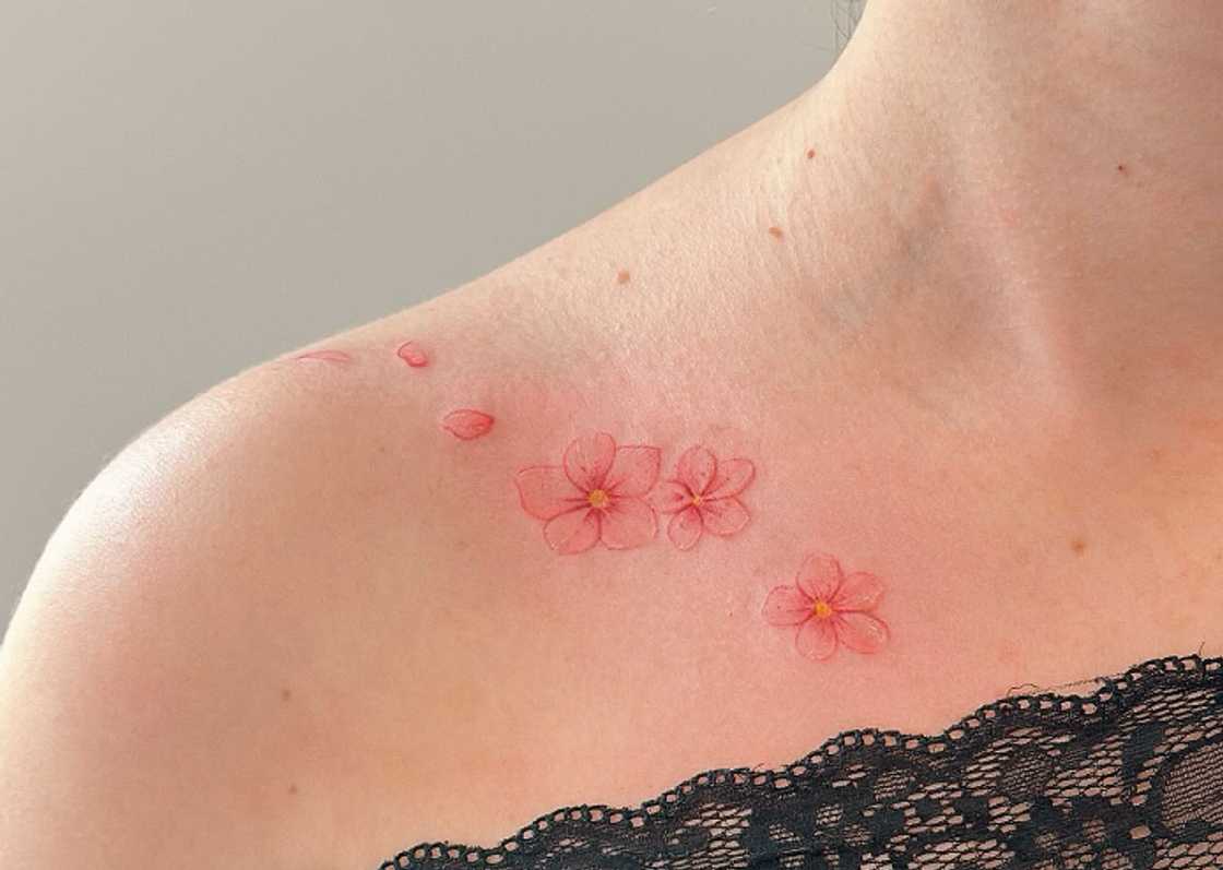 Tiny cherry blossom and petals Tiny cherry blossom and petals