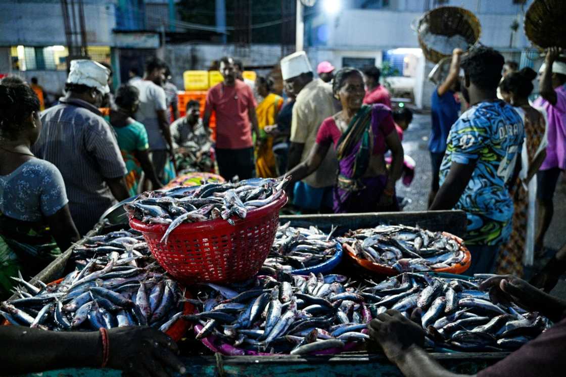 Fishermen wait for customers at the Kasimedu harbour in Chennai Fishermen wait for customers at the Kasimedu harbour in Chennai